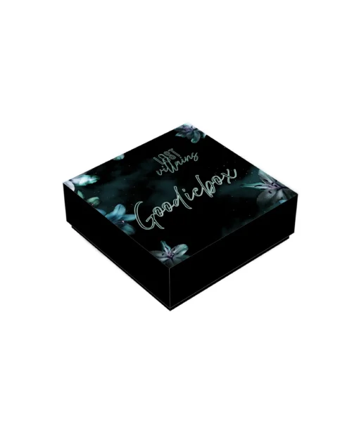 Buchbox Lost Villains